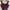 Sweet Girlt Three Piece Suit