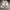 Nike Air Force 1 White photo 4