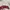 Sandro Paris Crop Sweatshirt Embroidered Velvet photo 4