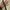 Samsung galaxy watch 4 photo 2