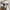 Streetwear Sportswear Windbreaker Pria white photo 7