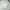 Streetwear Sportswear Windbreaker Pria white photo 4