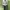 Streetwear Sportswear Windbreaker Pria white photo 2