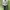 Streetwear Sportswear Windbreaker Pria White
