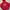 hoodie zhiperr piko red photo 2