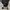 Stroller pliko BS-387 Sprint RX Navy photo 3