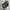 Converse 70s uk 40 photo 4