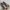 Vans checkerboard uk 39 photo 1