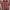 hoodie stripped mix serpa salur oversized photo 5