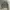 🧥 MASSIMO DUTTI TEXTURED ZIP JACKET photo 1