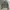 🧥 MASSIMO DUTTI TEXTURED ZIP JACKET