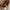 Juicy Couture Vintage Y2K Tote bag Wanita gold green photo 2
