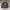 Crewneck the north face kids photo 1