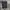 CELANA PENDEK UNDER ARMOUR SECOND photo 1