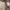 Kate spade dakota medium convertible shoulder photo 3