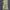 Carhartt Balaclava Ski Mask With Thinsulate Flex A161ARG