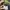 Carhartt Balaclava Ski Mask with Thinsulate Flex A161ARG photo 3