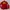 Casual Biker Windbreaker Wanita red photo 1