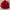 Casual Biker Windbreaker Wanita red photo 3
