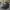 Caterpillar Streetwear Casual Hat Pria multicolor photo 2