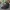 Caterpillar Streetwear Casual Hat Pria Multicolor