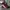 Caterpillar Streetwear Casual Hat Pria multicolor photo 1