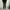 CENTER CLEASE CARGO PANTS