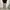 UNIQLO CARGO PANTS