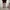 PERSONS CARPENTER  PANTS photo 1