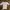 Stradivarius Casual T-shirt Wanita purple photo 1