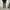CARGO  PANTS photo 1