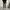 AVAIL TACTICAL CARGO  PANTS photo 1
