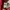 Number nine  photo 5