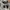 Stone Island Cargo Jogger Pants Grey Second (authentic) photo 3