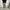 DIVIDED CARGO  PANTS photo 1