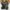 Steve Madden Streetwear Loafer Wanita black photo 4
