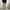 UNIQLO CARGO  PANTS