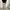 UNIQLO CARGO  PANTS