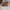 Vtg Freccia Leather bag photo 1