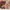 Blind Box One Piece MINISO – Luffy photo 1