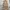 max dress soft brown overall size SM photo 4