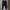 Geelong Cats AFL Mens Training pants Original photo 1