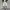 Carhartt Short Cargo Pants B143 PUT  photo 1