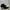 Balenciaga knife knit boots black white kitten photo 3
