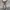 Carhartt Camo Short Cargo Pants photo 5
