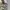 Carhartt Camo Short Cargo Pants photo 6