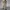 Carhartt Camo Short Cargo Pants photo 2