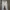 Baggy Pants White