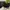 Channel black Quilted Velvet Crsytal Chain photo 3