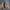 Vintage Y2K Bomber jacket Pria tan photo 3